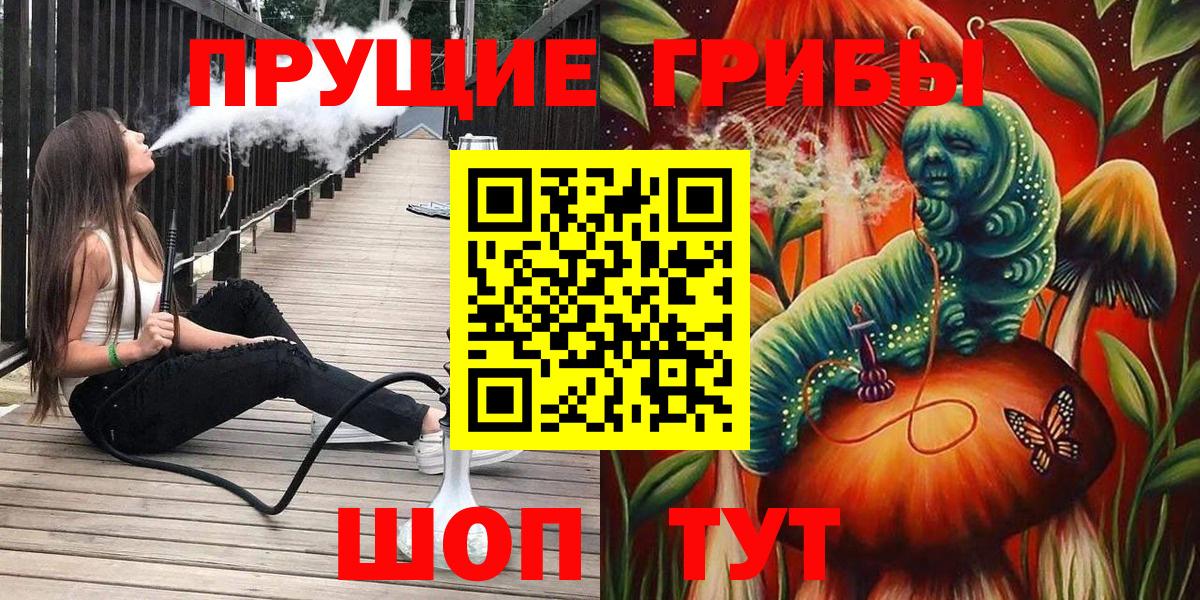 Галлюциногенные грибы Psilocybe Георгиевск
